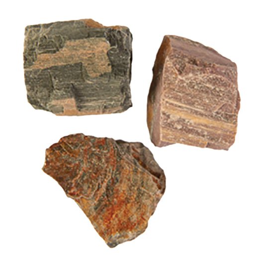 Petrified Wood